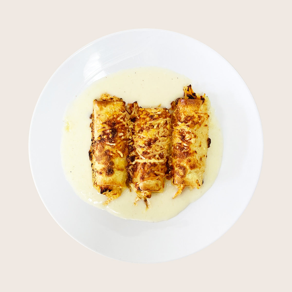 Canelones de Pollo y Parmesano